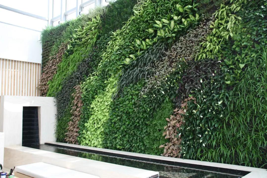 合肥室内垂直绿化中的色彩搭配